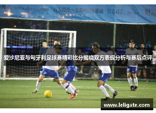 爱沙尼亚与匈牙利足球赛精彩比分揭晓双方表现分析与赛后点评
